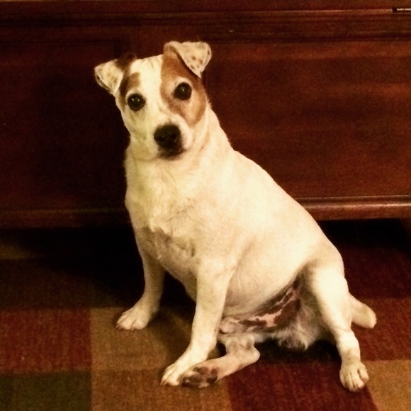 Meet your Posher, Mari - Picture 9 of 11